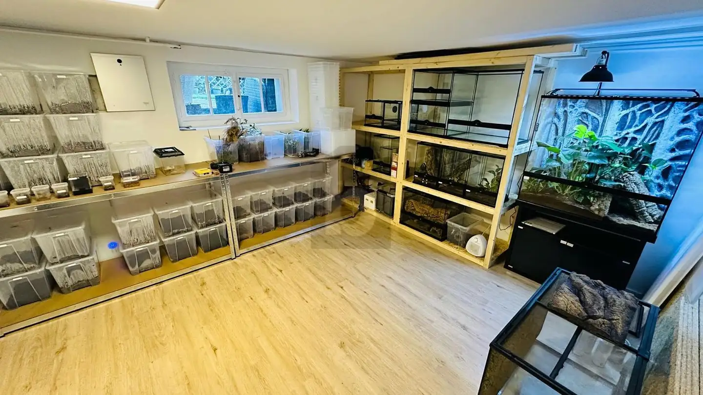 Casa singola in vendita - 9470 Buchs SG - Foto 2