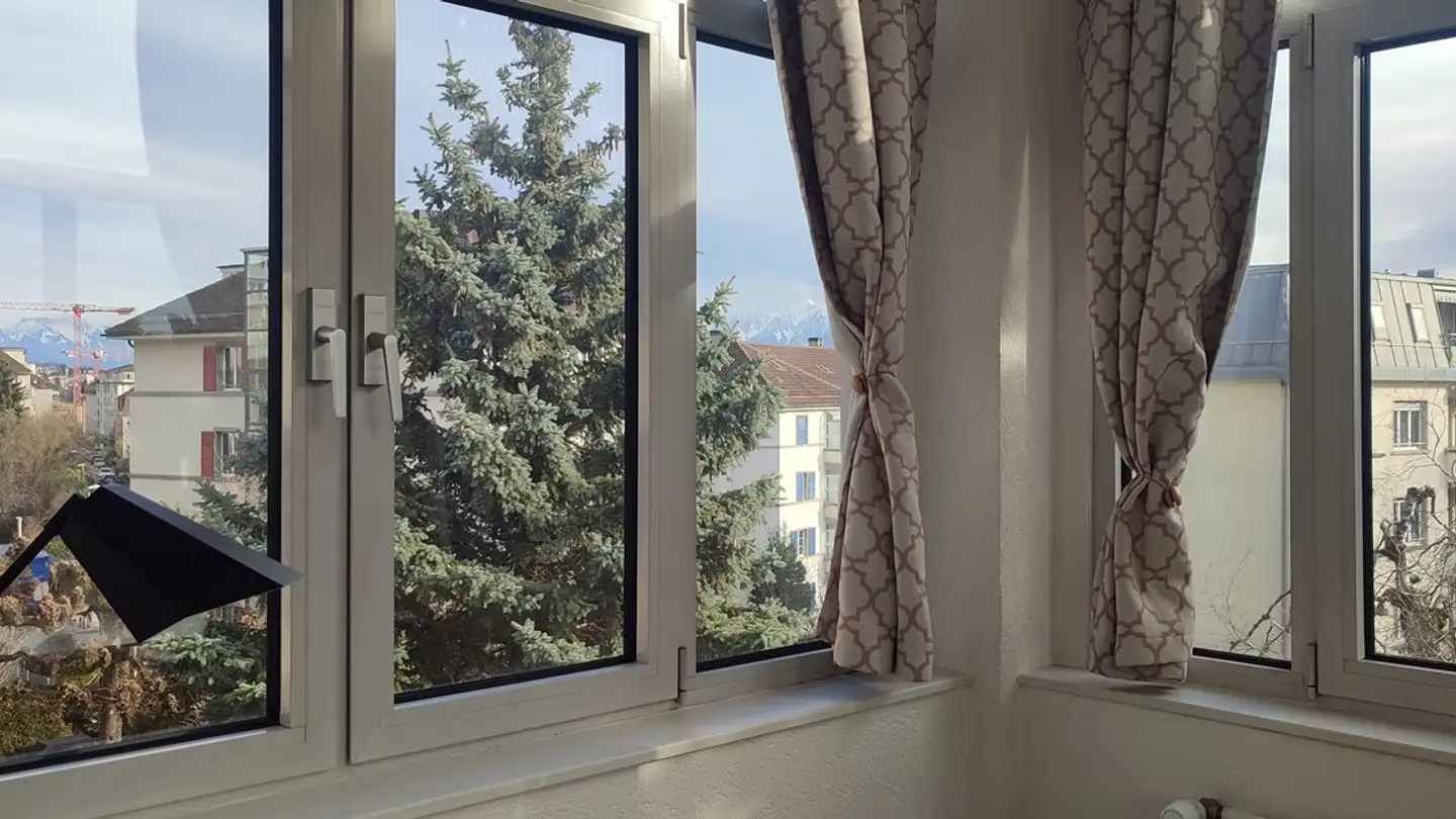 Appartamento in affitto - Chemin De Fontenay 2, 1007 Lausanne - Foto 4