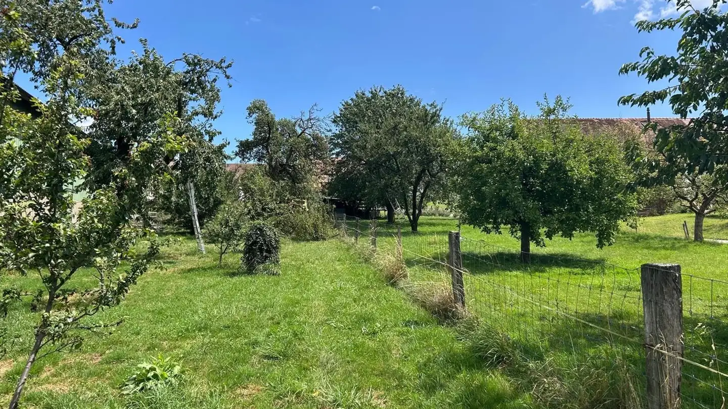 Maison individuelle à vendre - Avenue Des Bains, 1400 Yverdon-les-Bains - Photo 3