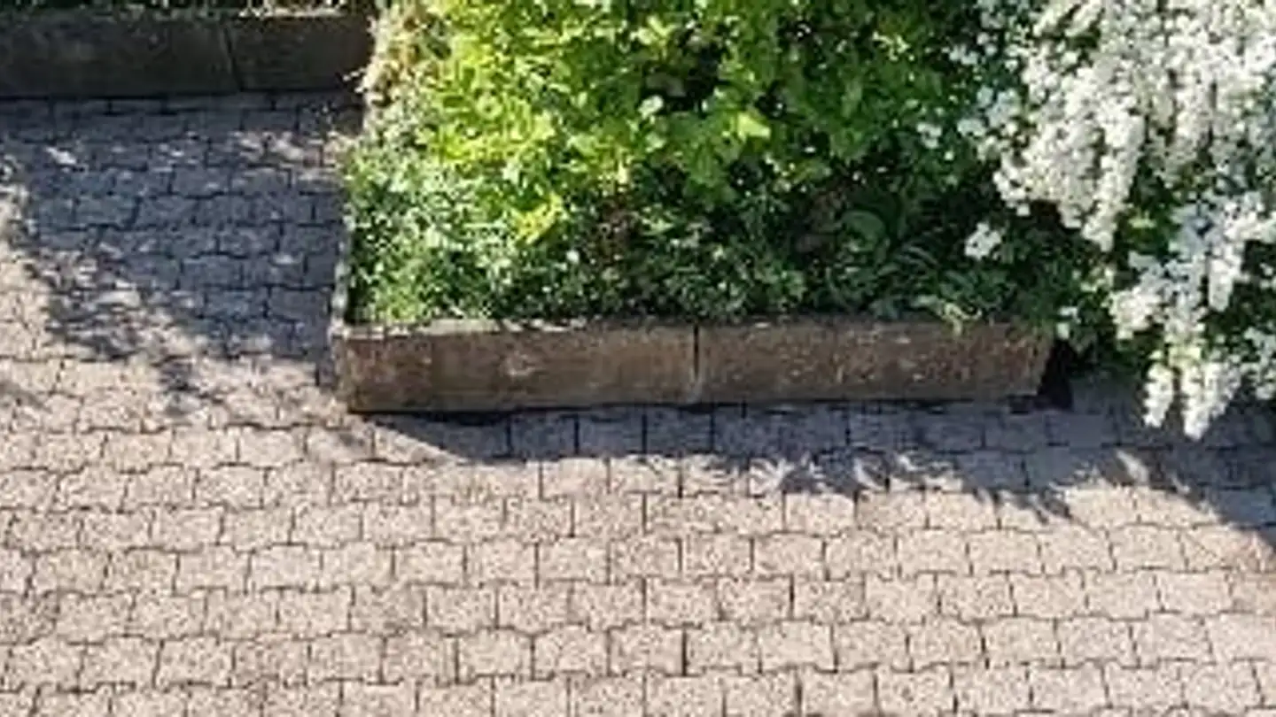 Maisonette mieten - Alte Distelbergstrasse 9, 5035 Unterentfelden - Foto 2