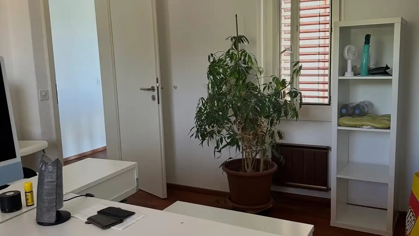 Appartamento in affitto - 8903 Birmensdorf ZH - Foto 2