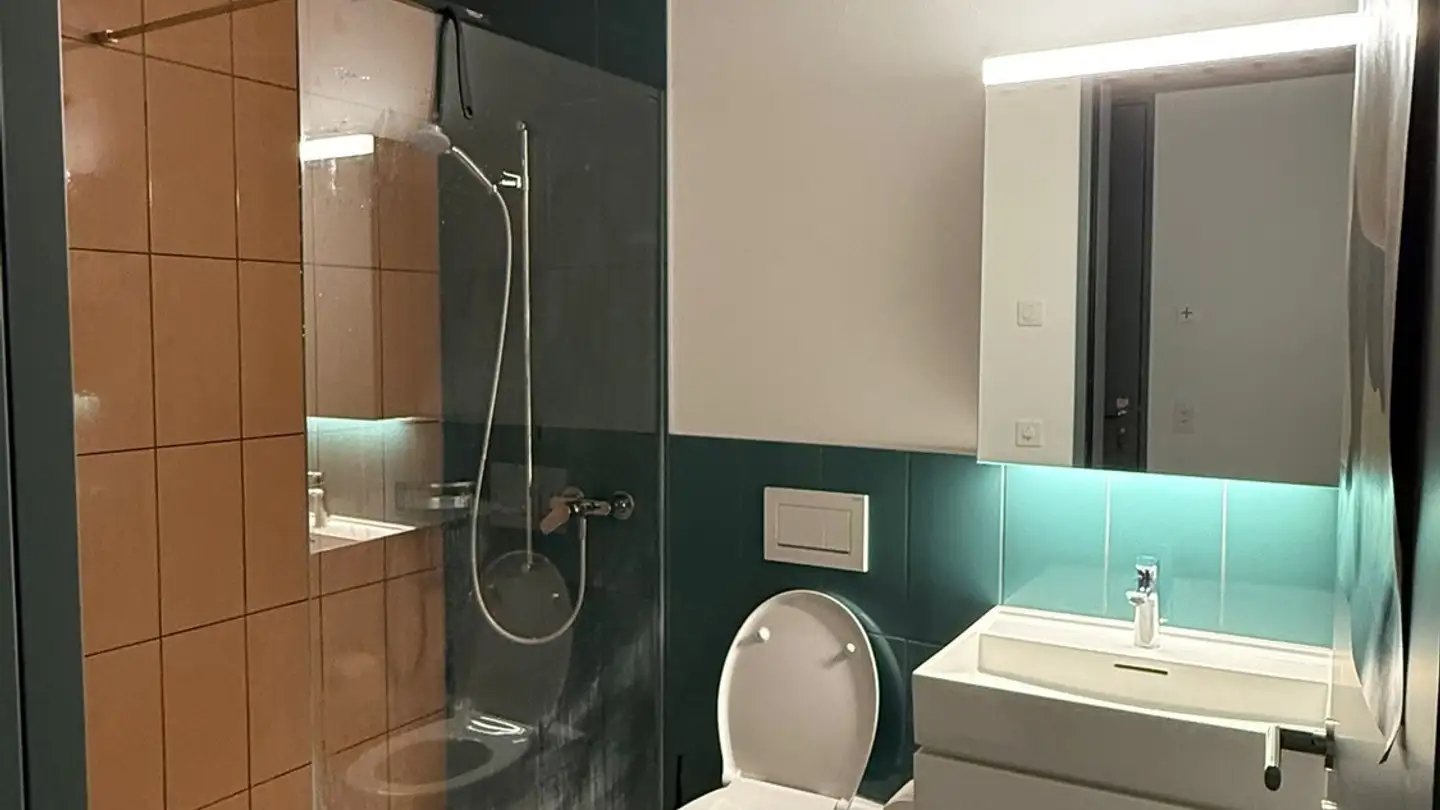 Apartment for rent - Maihofhalde 10, 6006 Luzern - Photo 4