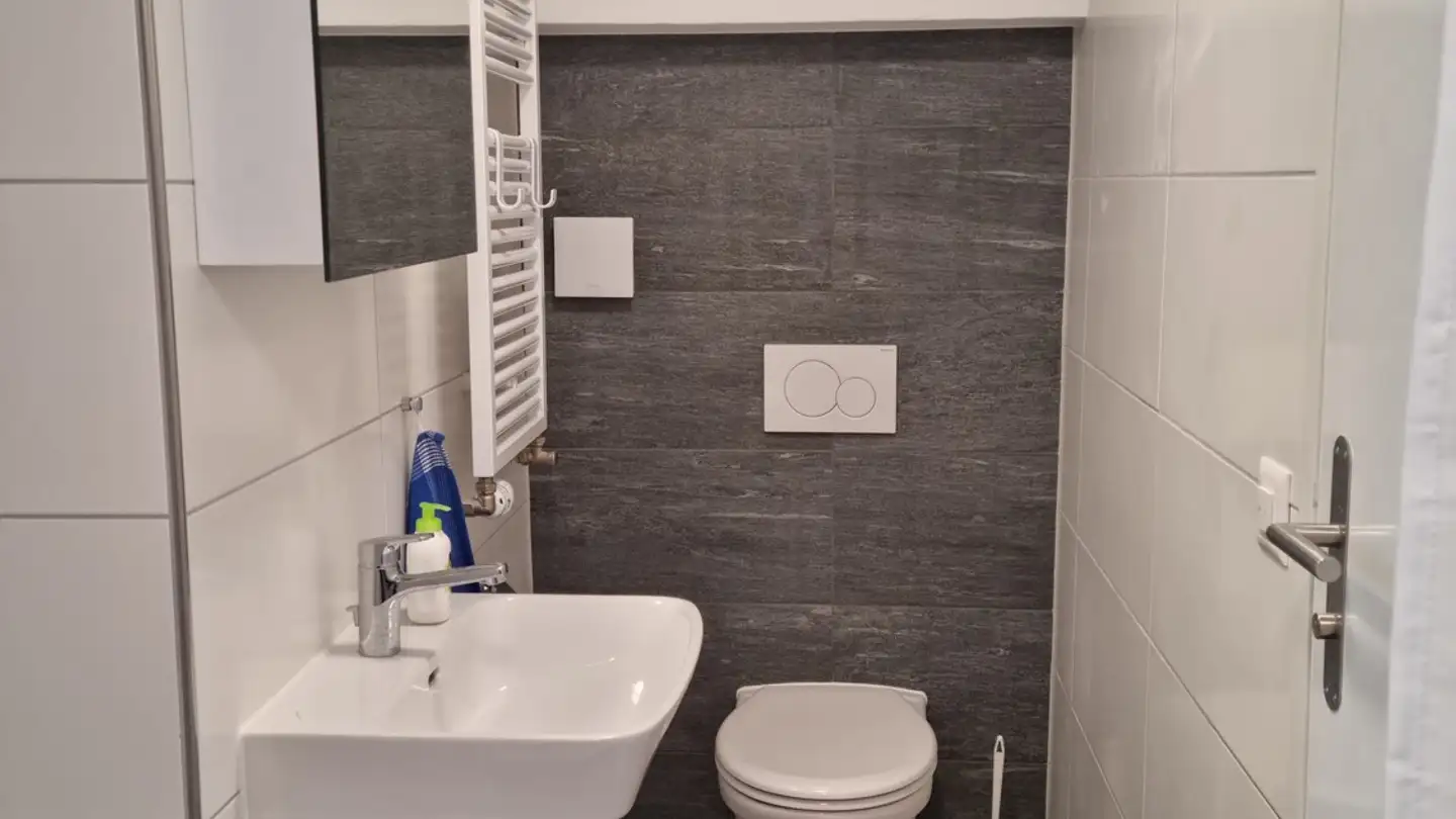 Appartement à louer - Zwiegartenstrasse 20, 8952 Schlieren - Photo 3