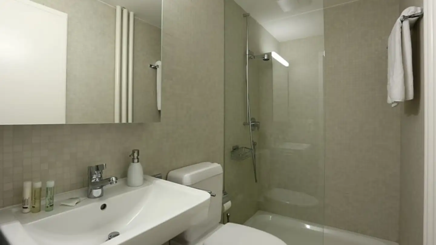 Möblierte Wohnung mieten - Mittlere Strasse 67, 4056 Basel - Foto 4