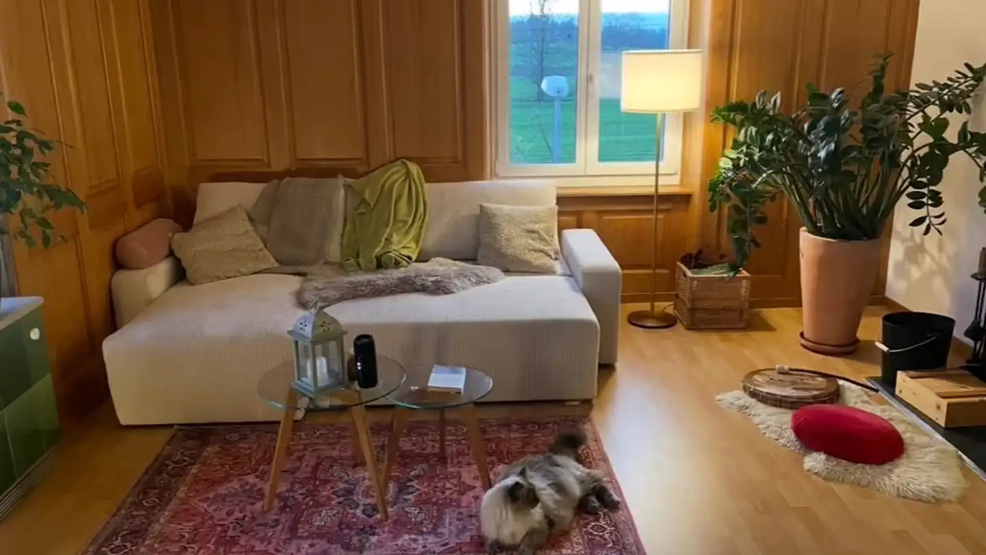 Appartamento in affitto - 8932 Mettmenstetten