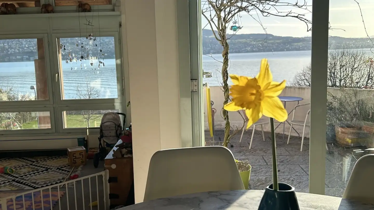 Appartamento in affitto - Bahnhofstrasse, 8942 Oberrieden