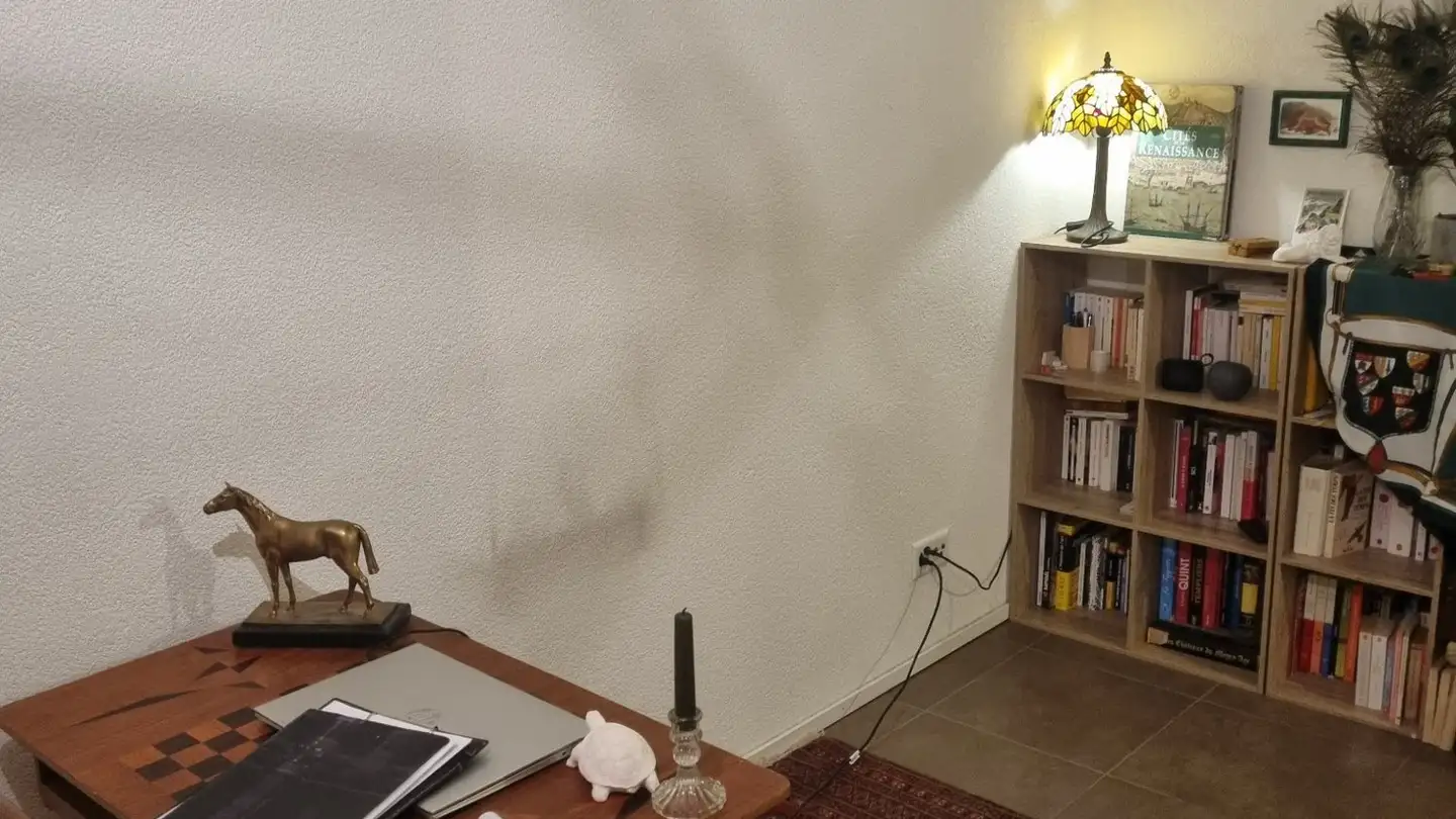 Wohnung mieten - 1009 Pully - Foto 3