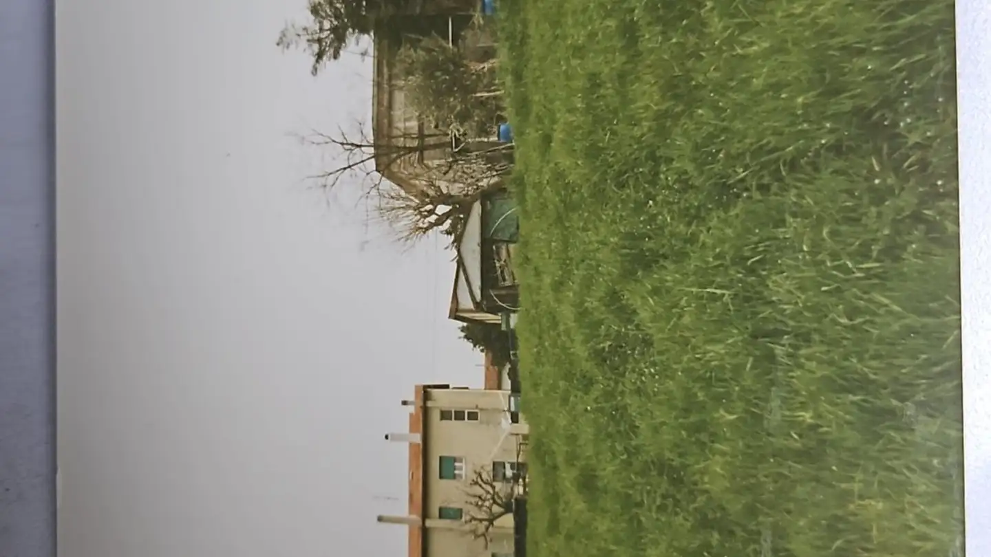 Einfamilienhaus kaufen - 6513 Monte Carasso