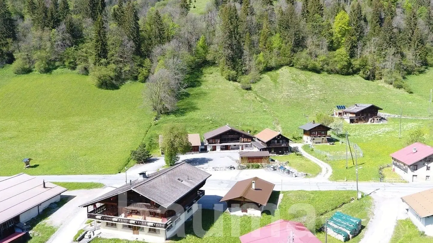 Chalet in vendita - 1865 Les Diablerets - Photo 3