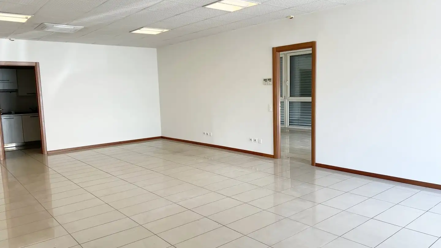 Magasin à louer - Via Cantonale 43, 6928 Manno - Photo 4