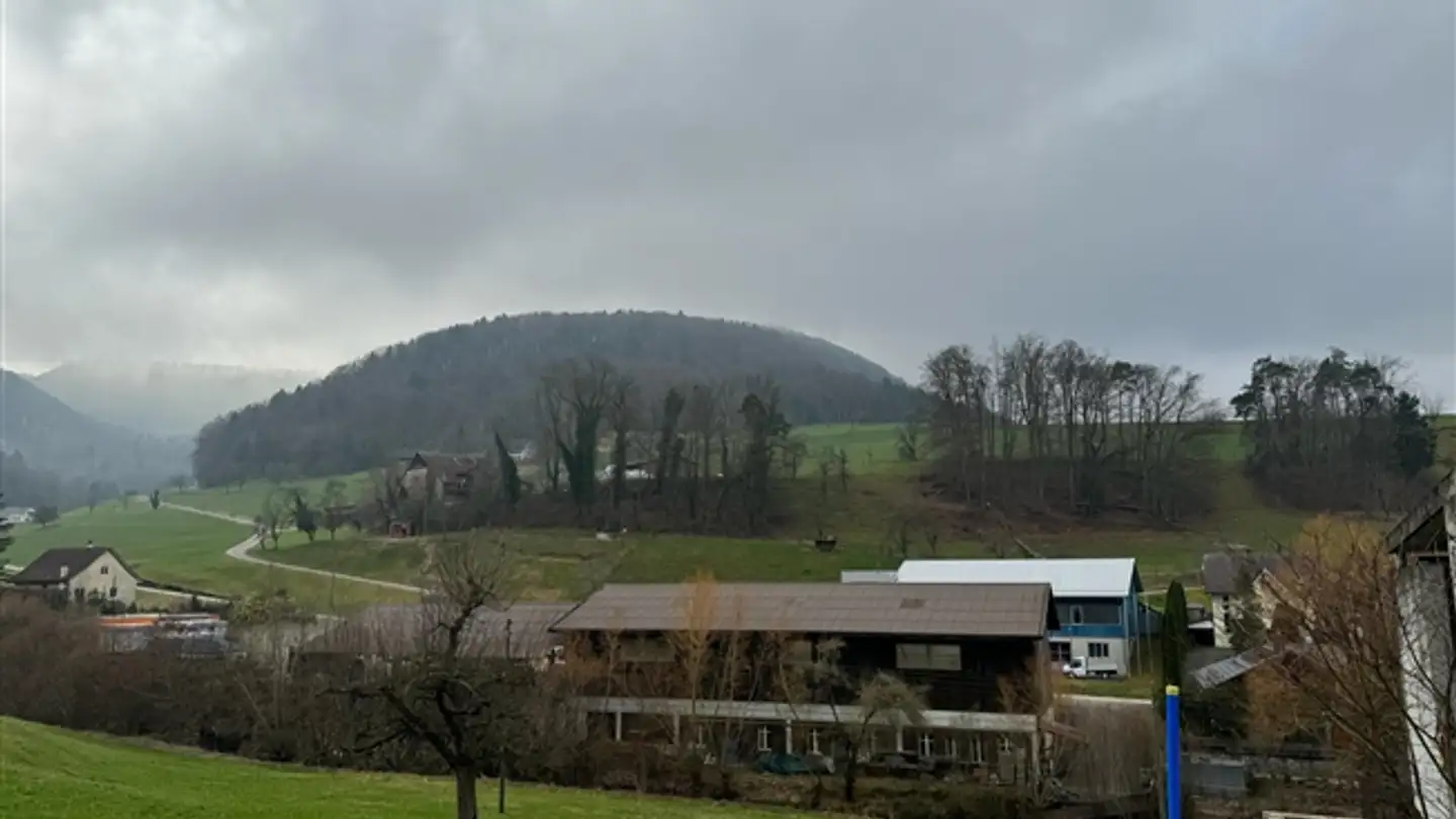 Casa singola in vendita - Häuserrain, 4495 Zeglingen - Photo 2