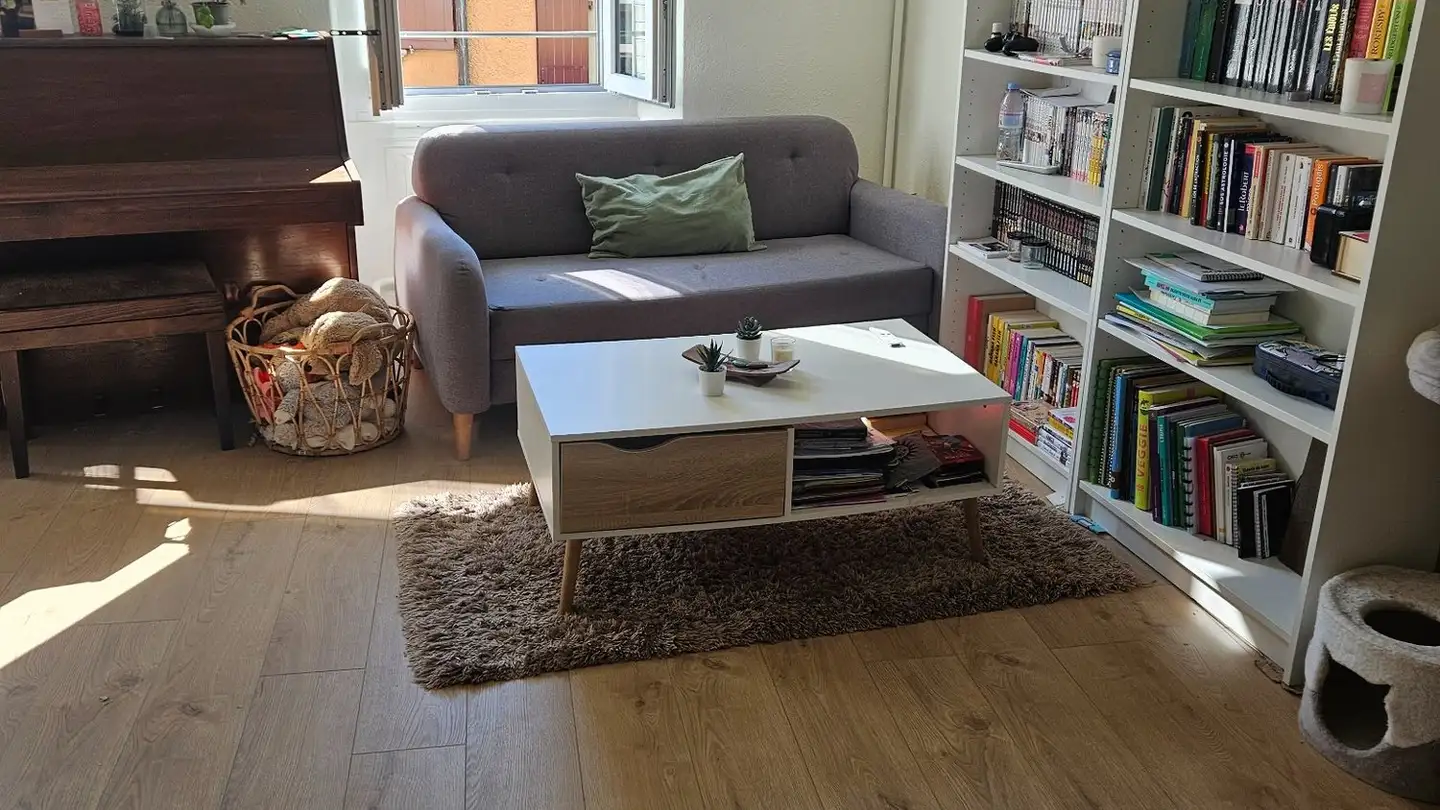 Apartment for rent - Rue Du Midi, 1009 Pully