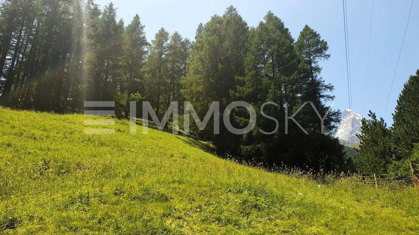 Constructible plot for sale - 3920 Zermatt - Photo 2