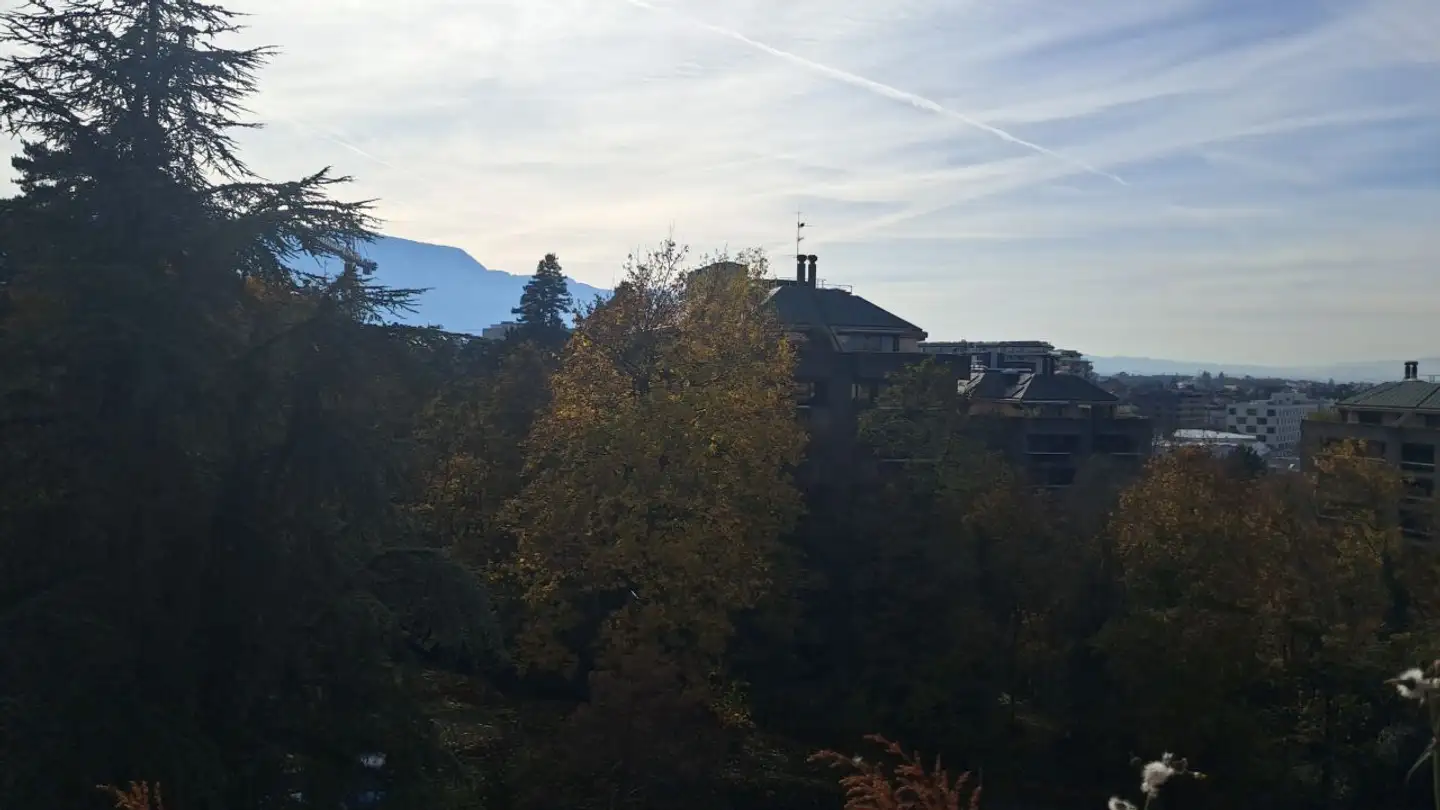 Apartment for rent - 1208 Genève