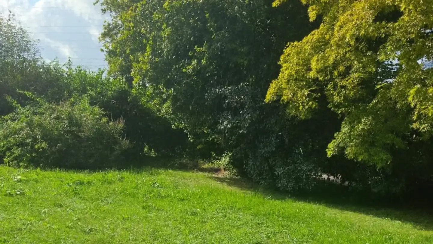 Terrain constructible à vendre - 5502 Hunzenschwil