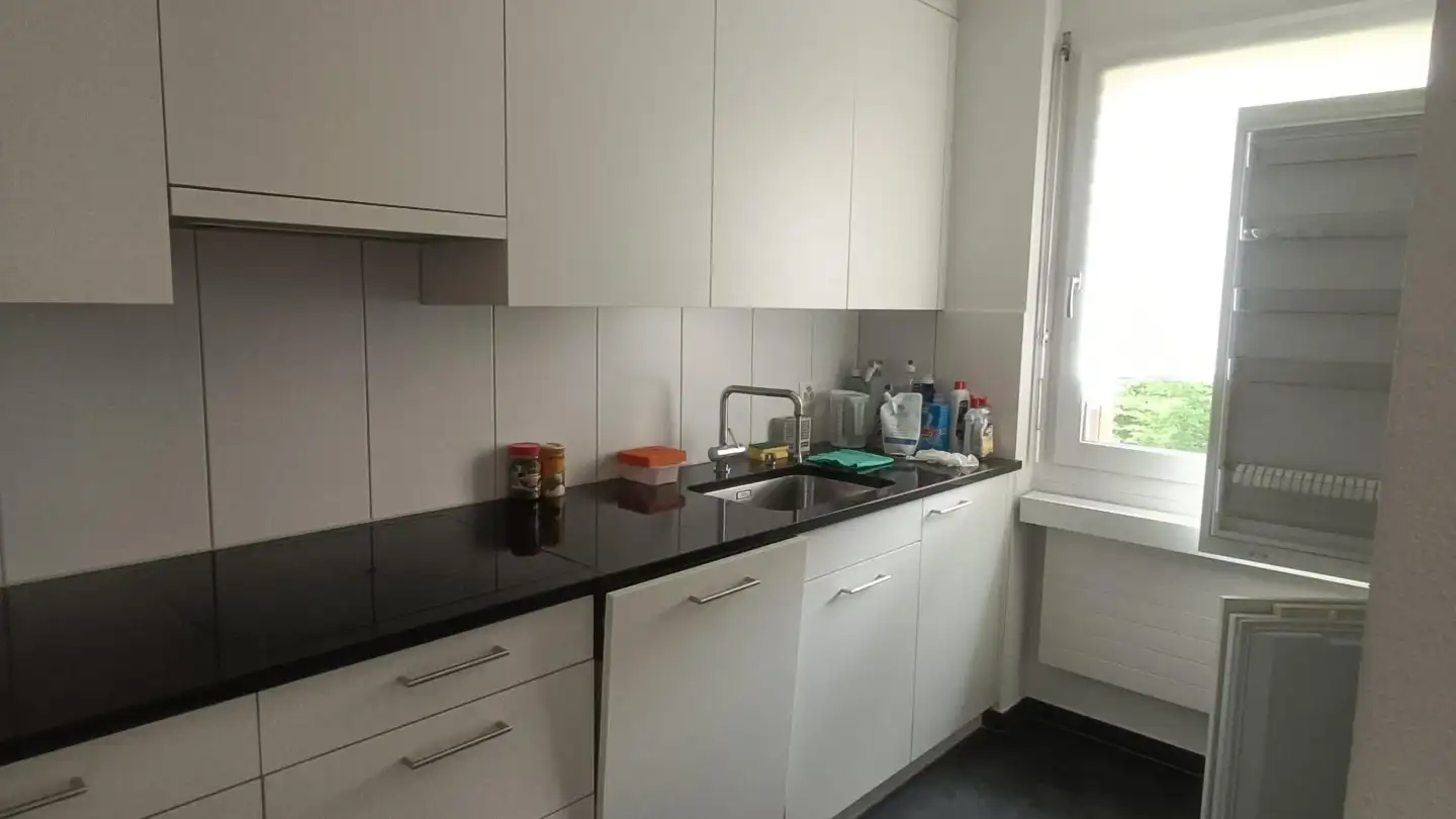 Apartment for rent - Walbergstrasse 4, 8604 Volketswil - Photo 3