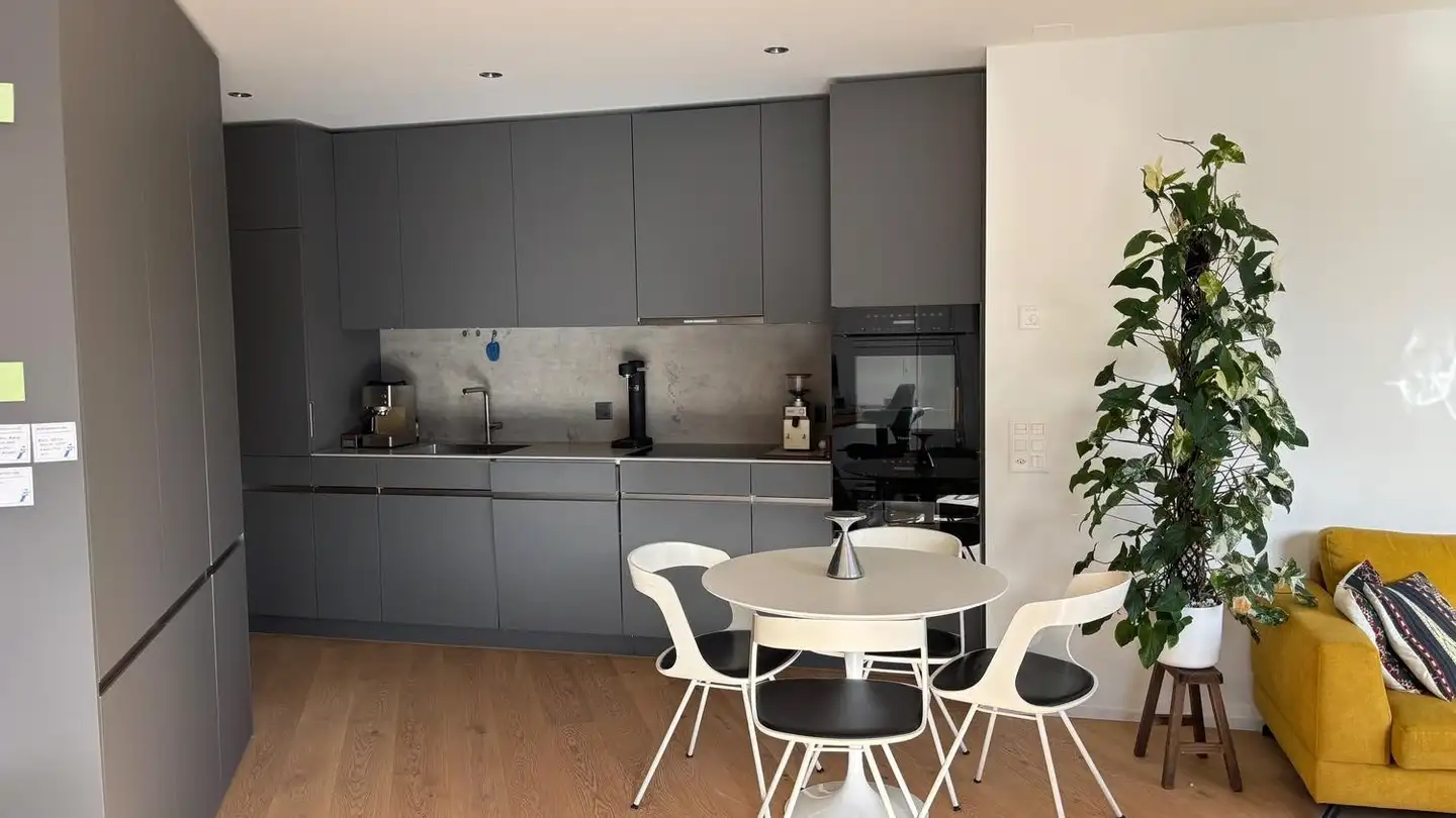 Furnished apartment for rent - Eibenstrasse 20, 8045 Zürich - Photo 4