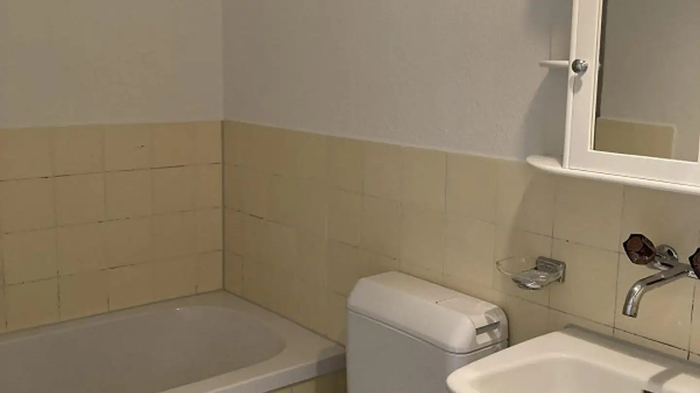 Apartment for rent - Urdorferstrasse 46a, 8952 Schlieren - Photo 2