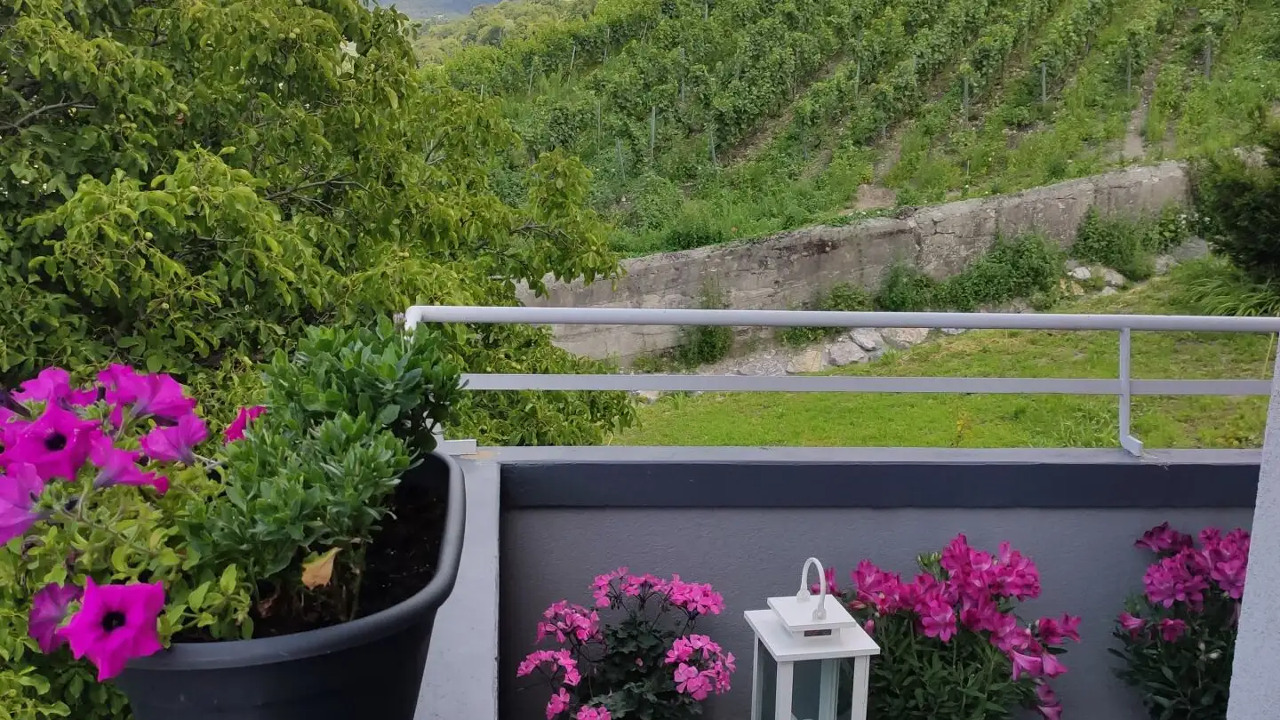 Appartamento in vendita - 1950 Sion