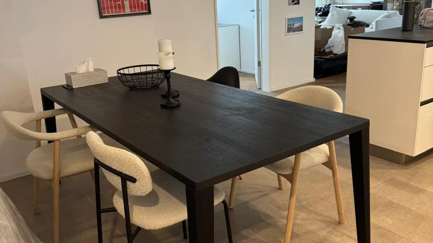 Möblierte Wohnung mieten - Dufourstrasse 153, 8008 Zürich - Foto 3