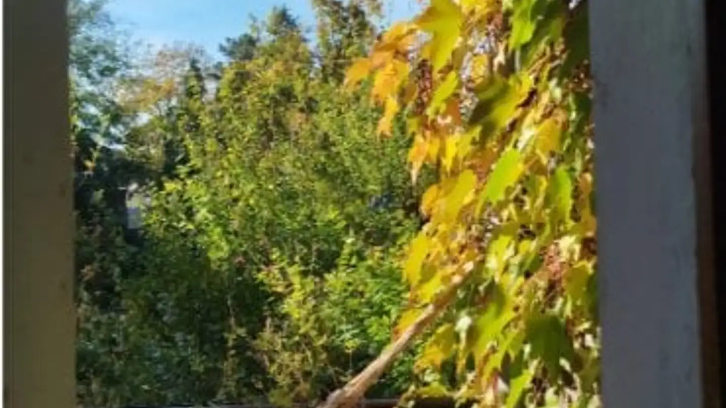 Chambre à louer - Eulerstrasse 51, 4051 Basel - Photo 2