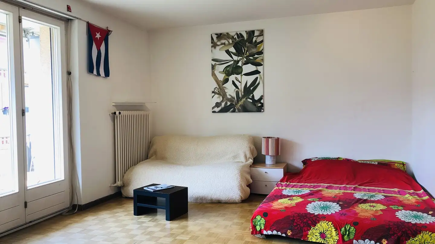 Wohnung mieten - 8055 Zürich