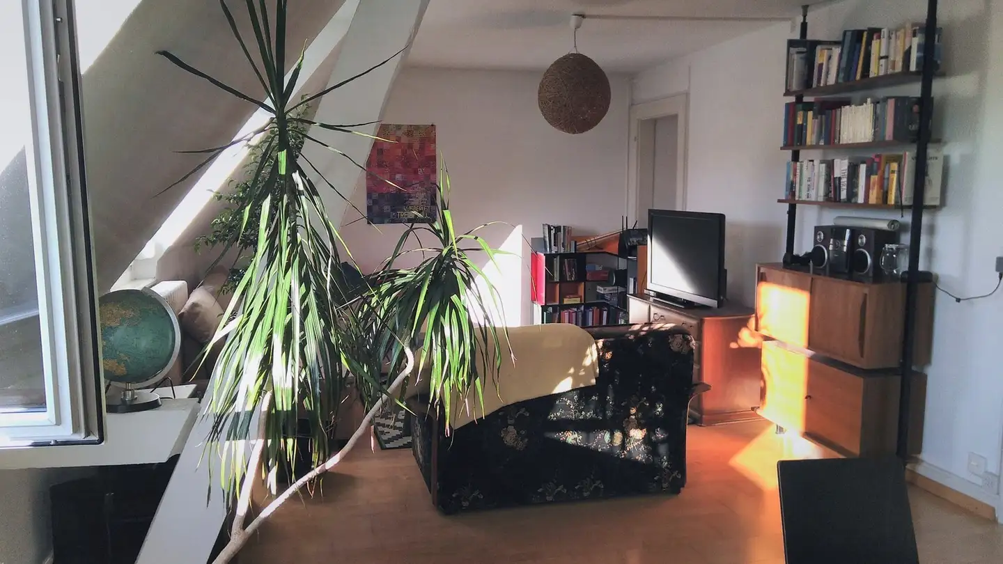 Stanza singola in affitto - Zelgstrasse, 8003 Zürich - Foto 2