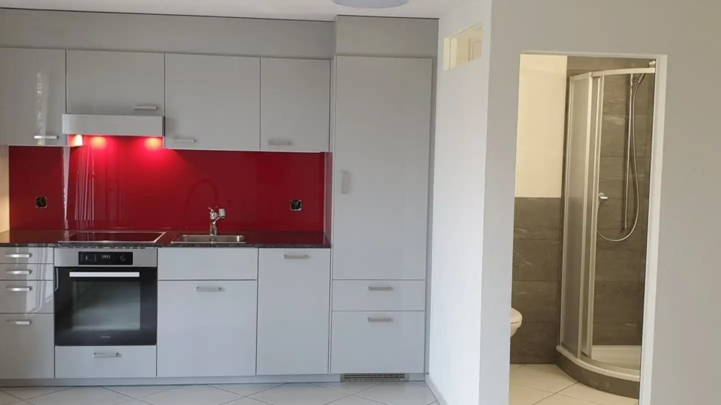 Studio in affitto - Obere Dorfstrasse 70b, 8964 Rudolfstetten