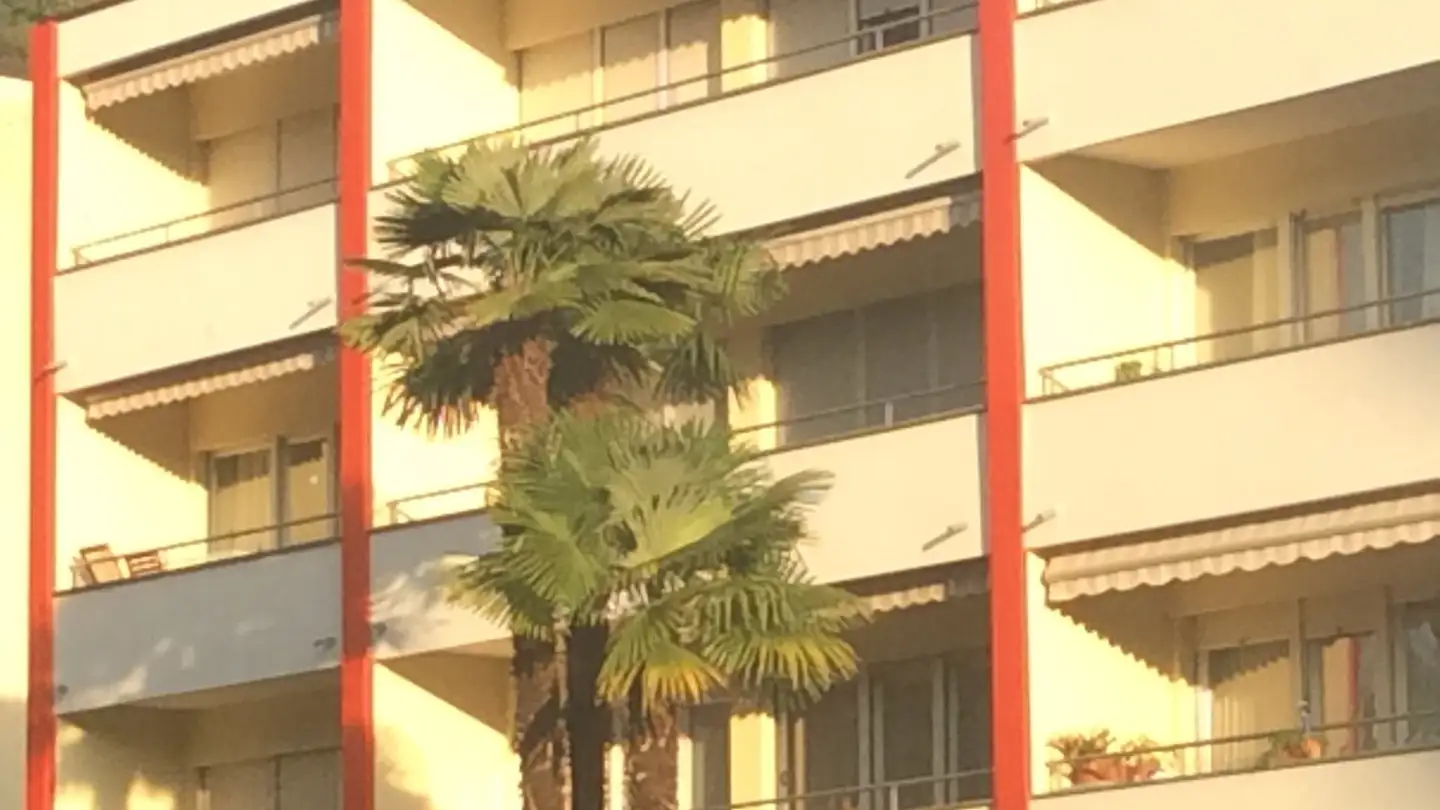 Appartement à vendre - 6982 Agno