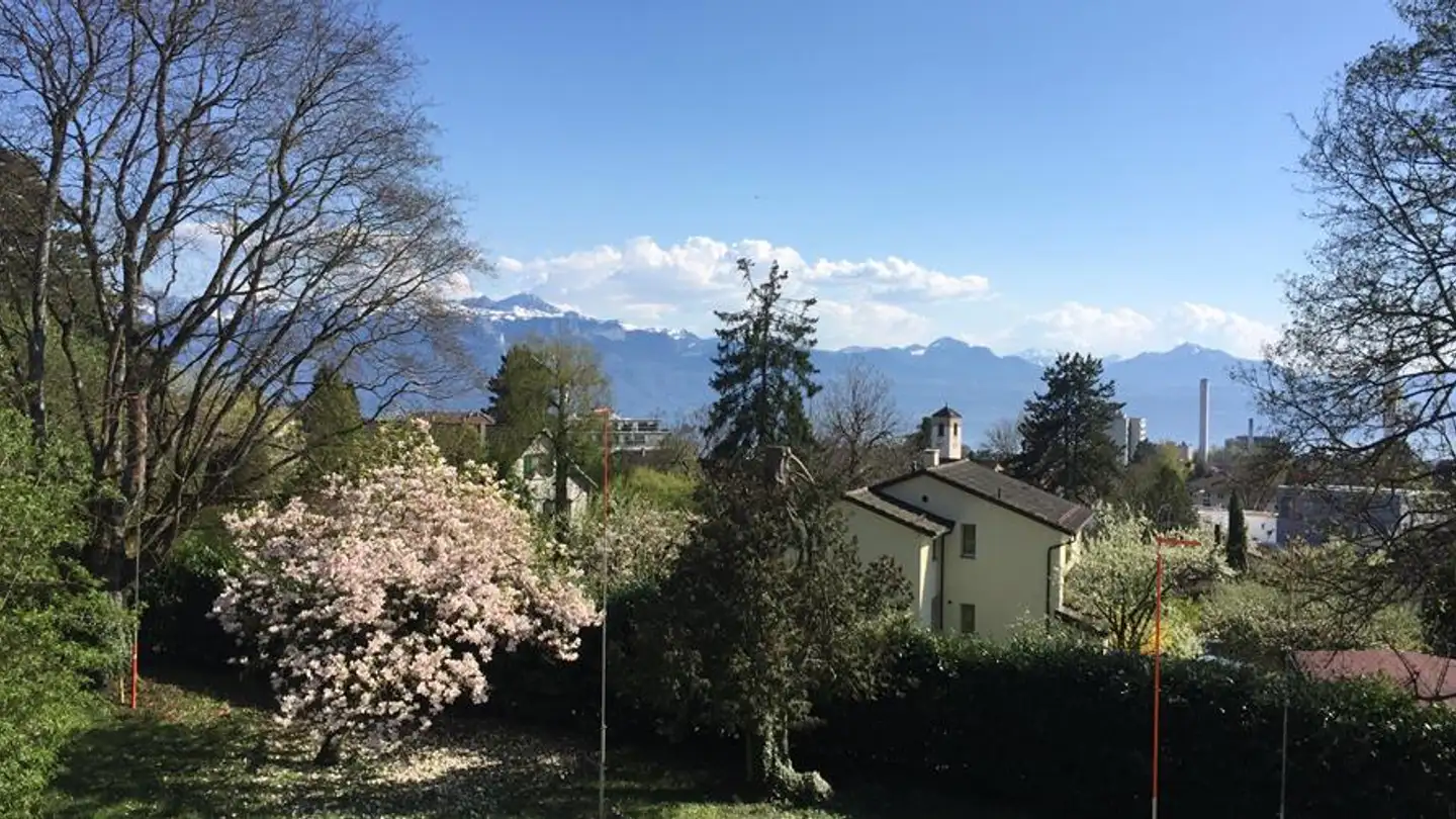 Einfamilienhaus kaufen - 1010 Lausanne - Foto 3