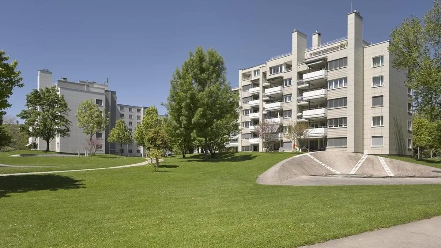 Appartement à louer - Bremgarterstrasse 25, 8967 Widen