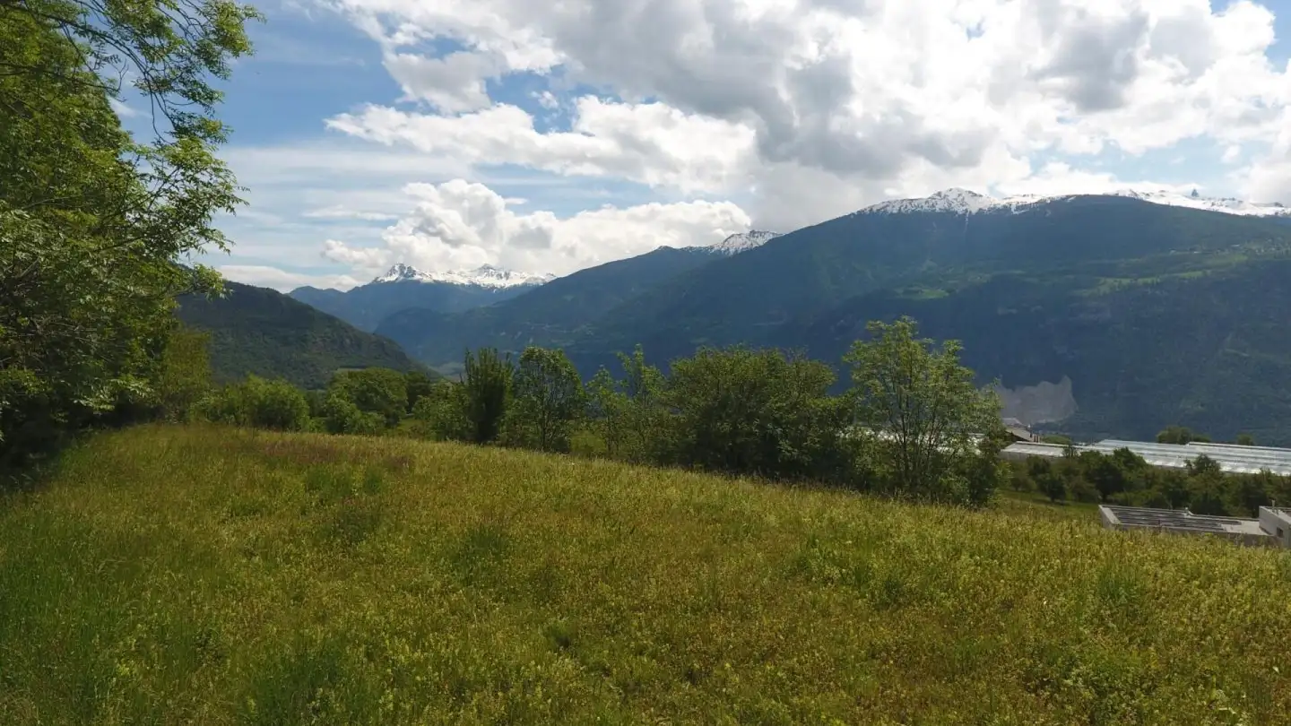 Terrain constructible à vendre - 1971 Grimisuat - Photo 2