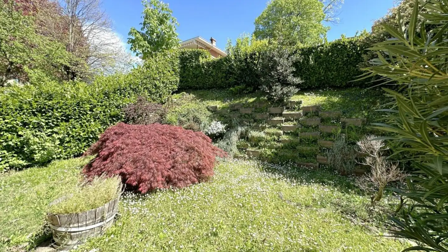 Wohnung kaufen - 6850 Mendrisio - Foto 3