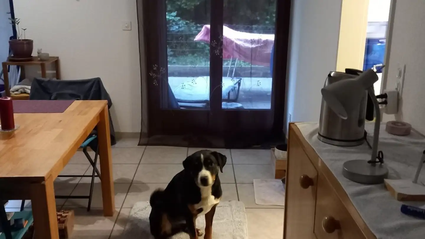 Stanza singola in affitto - Bodenstrasse 61, 5426 Lengnau AG - Photo 2