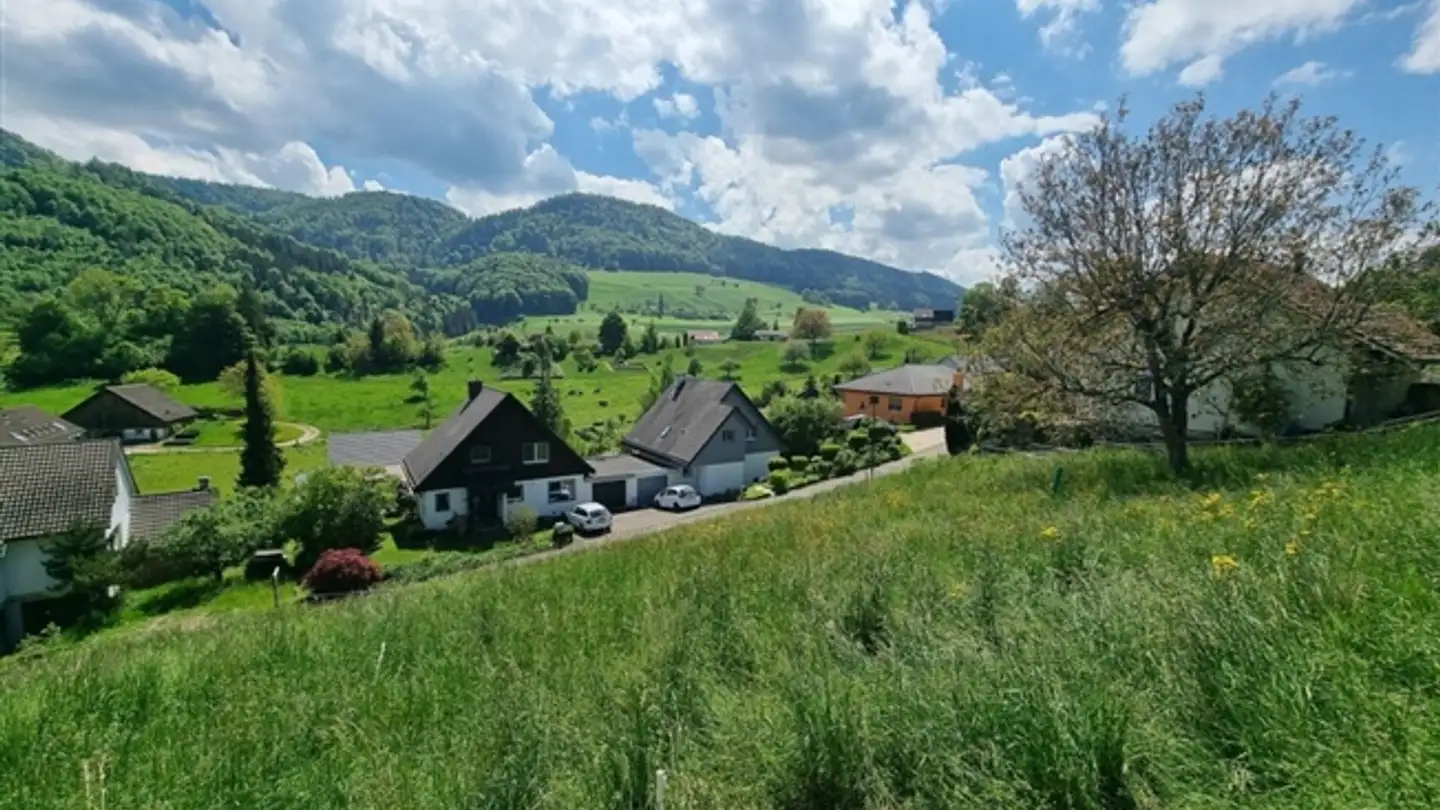 Single house for sale - Fluhgasse, 4207 Bretzwil
