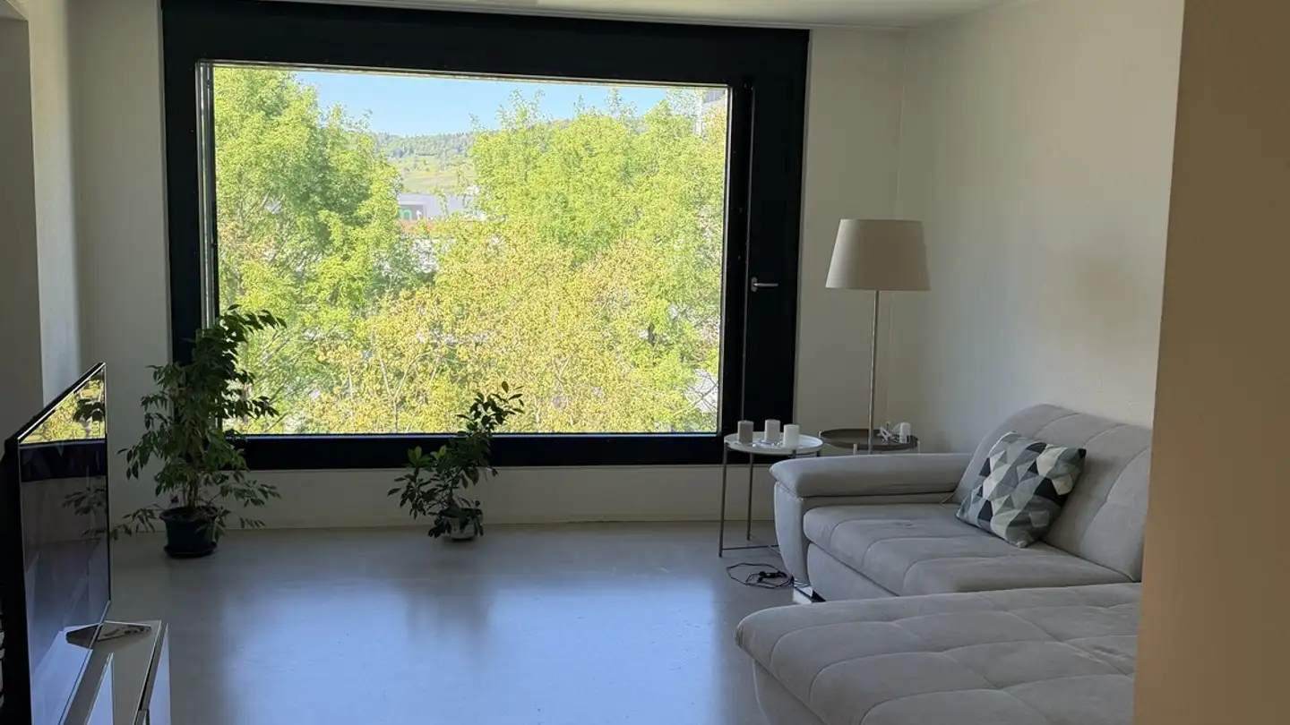 Chambre à louer - Wiesenstrasse 14b, 8952 Schlieren
