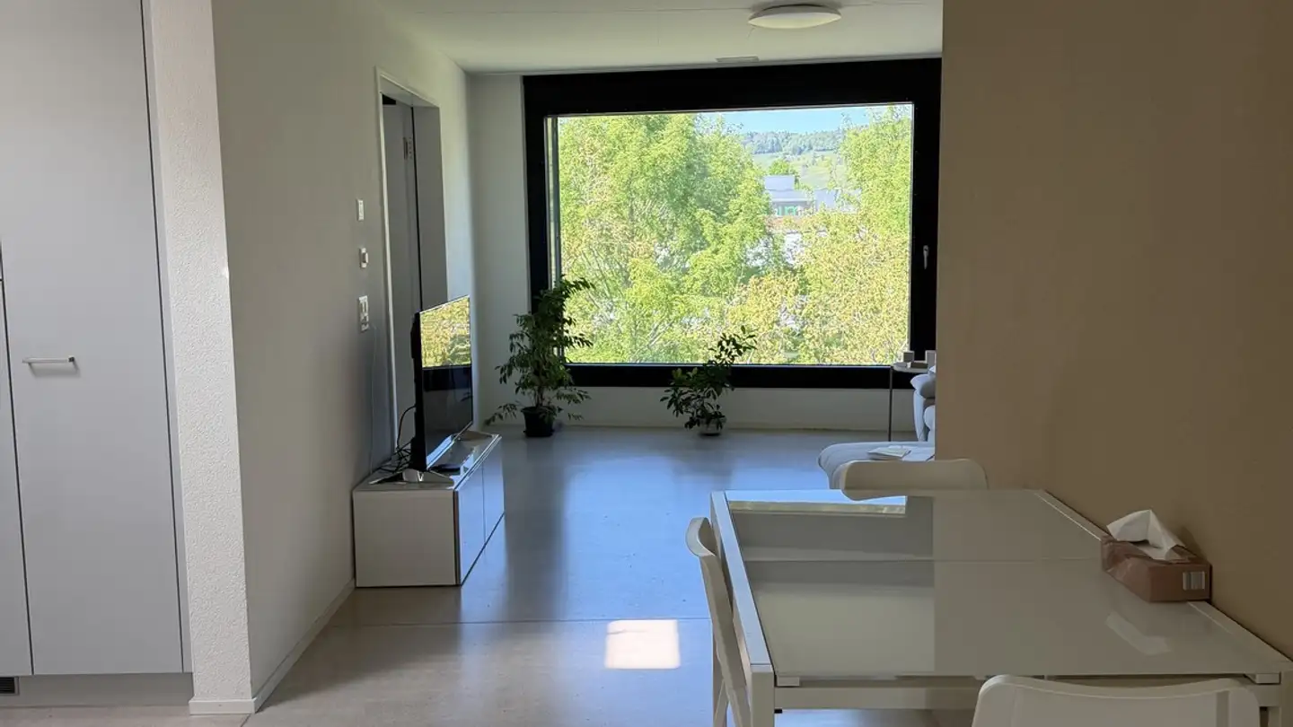 Chambre à louer - Wiesenstrasse 14b, 8952 Schlieren - Photo 2