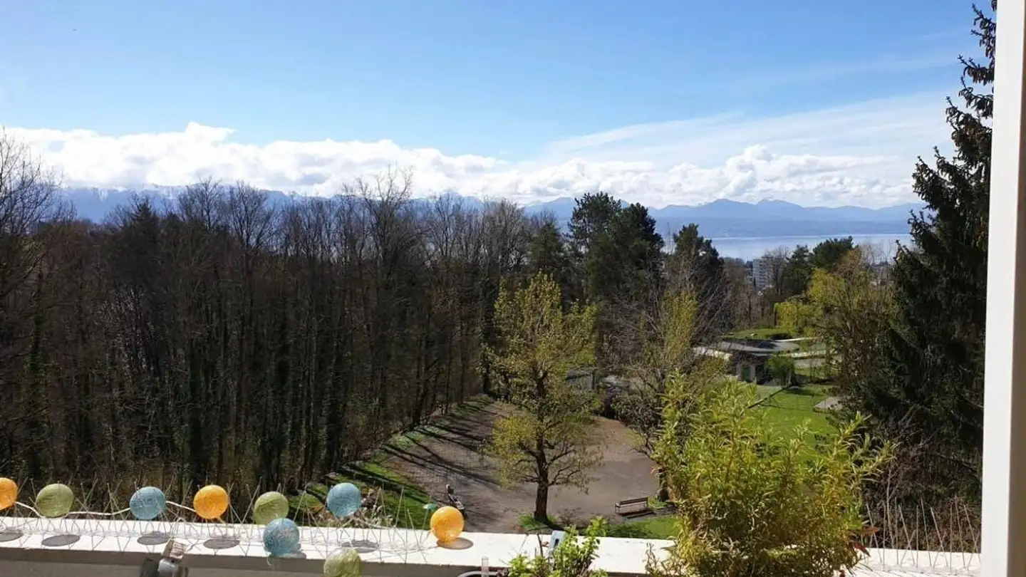 Apartment for rent - Avenue De Valmont 18, 1010 Lausanne - Photo 3