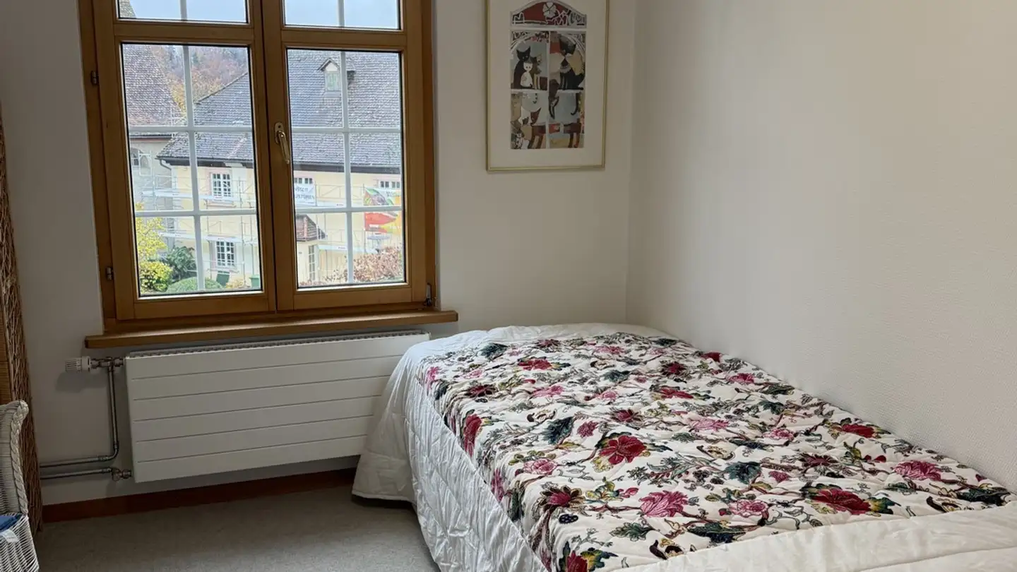 Furnished apartment for rent - Kirchplatz 1, 8240 Thayngen