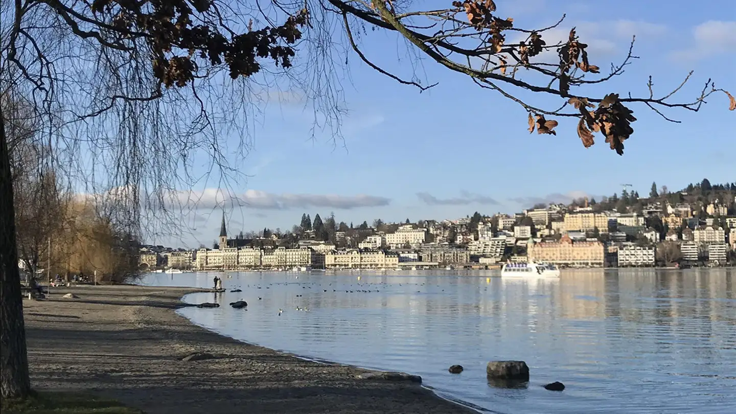 Appartamento in affitto - Landenbergstrasse 17, 6005 Luzern - Foto 3