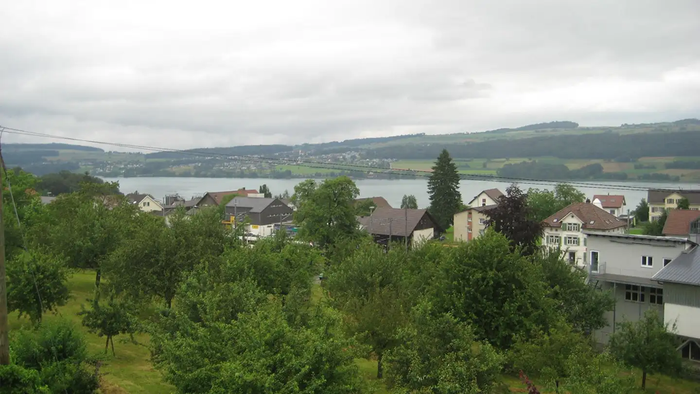 Maison individuelle à louer - Hombergstrasse 22, 5712 Beinwil am See - Photo 2
