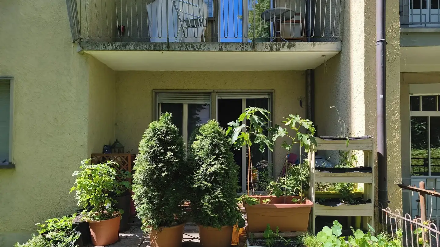 Apartment for rent - Volksbadstrasse 8, 9000 St. Gallen - Photo 2