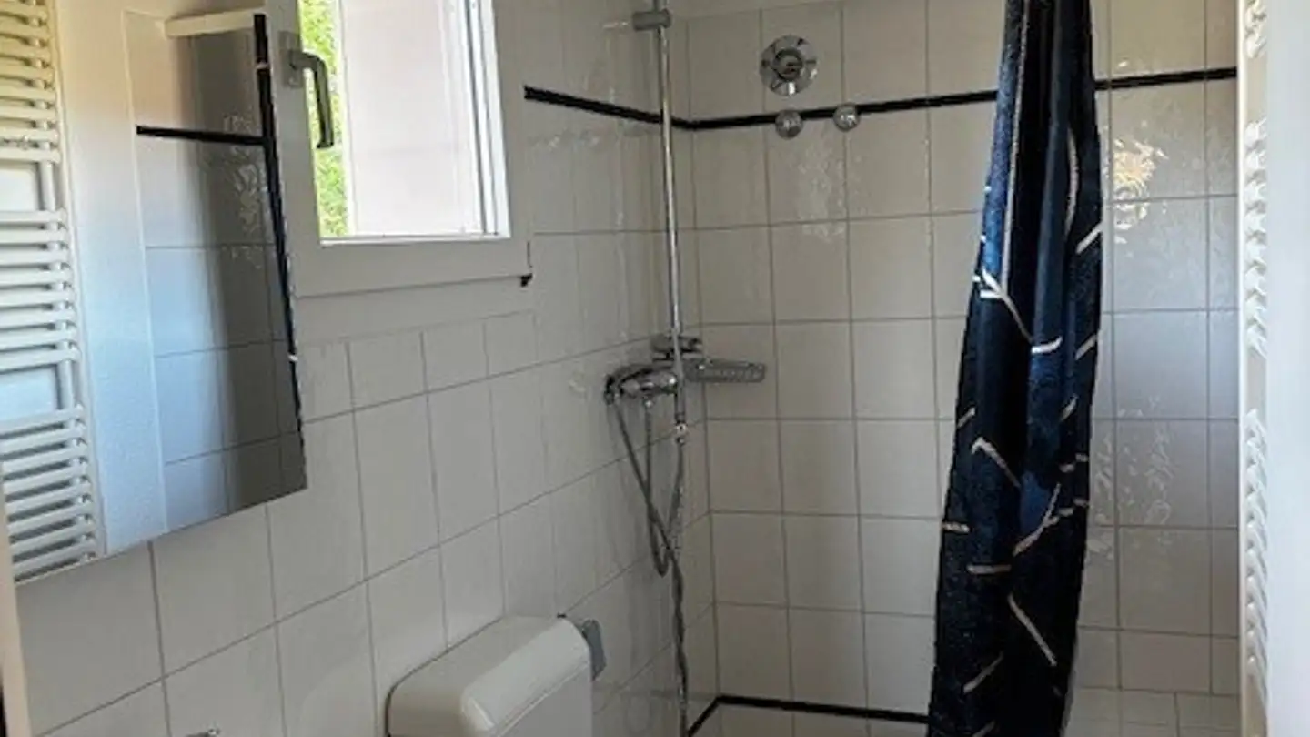 Duplex à louer - Im Allmendli 7, 8703 Erlenbach ZH - Photo 3