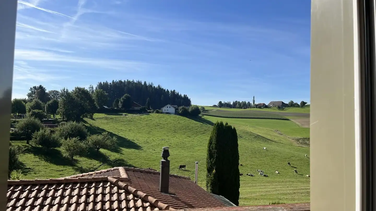 Appartamento in affitto - Brauchernstrasse 5, 3416 Affoltern im Emmental - Foto 3
