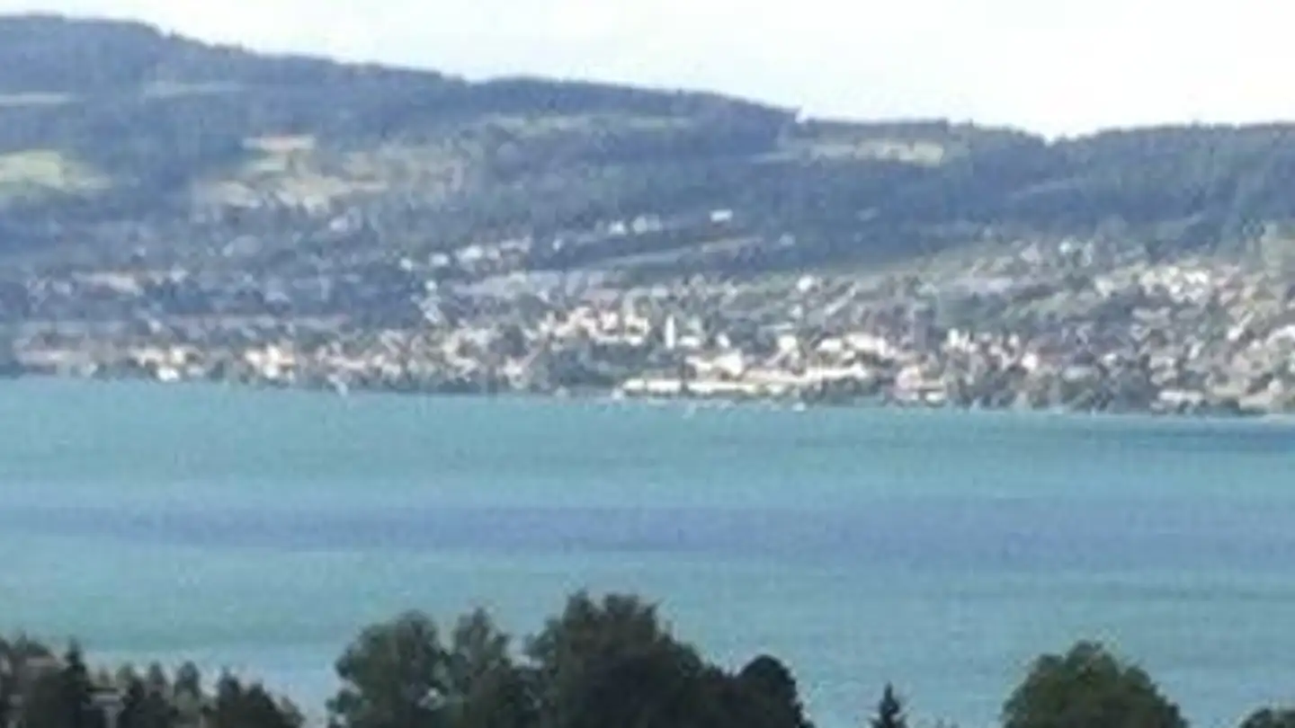 Wohnung mieten - Unterer Erlenweg 4, 8832 Wollerau