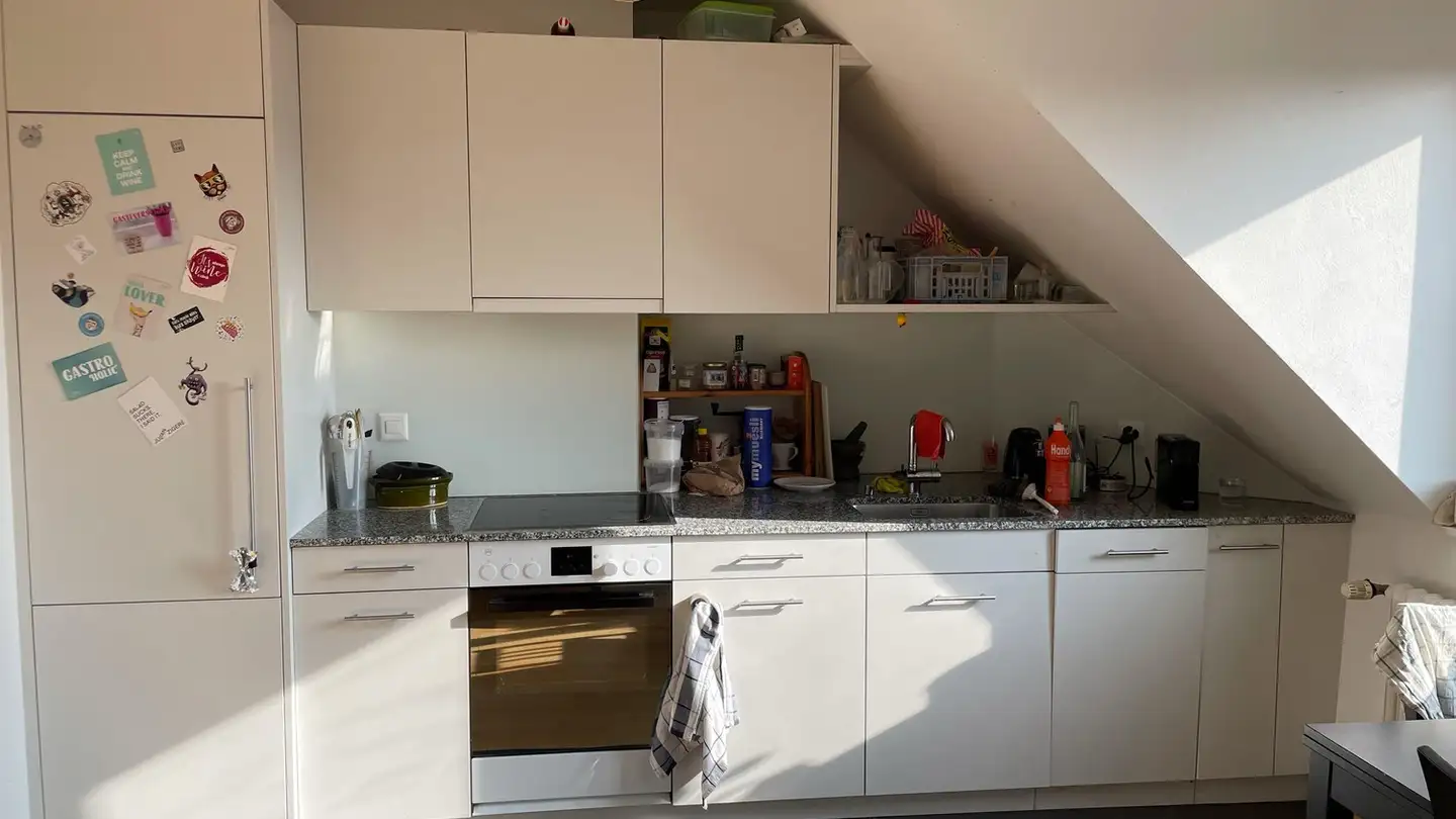 Chambre à louer - 8045 Zürich - Photo 4