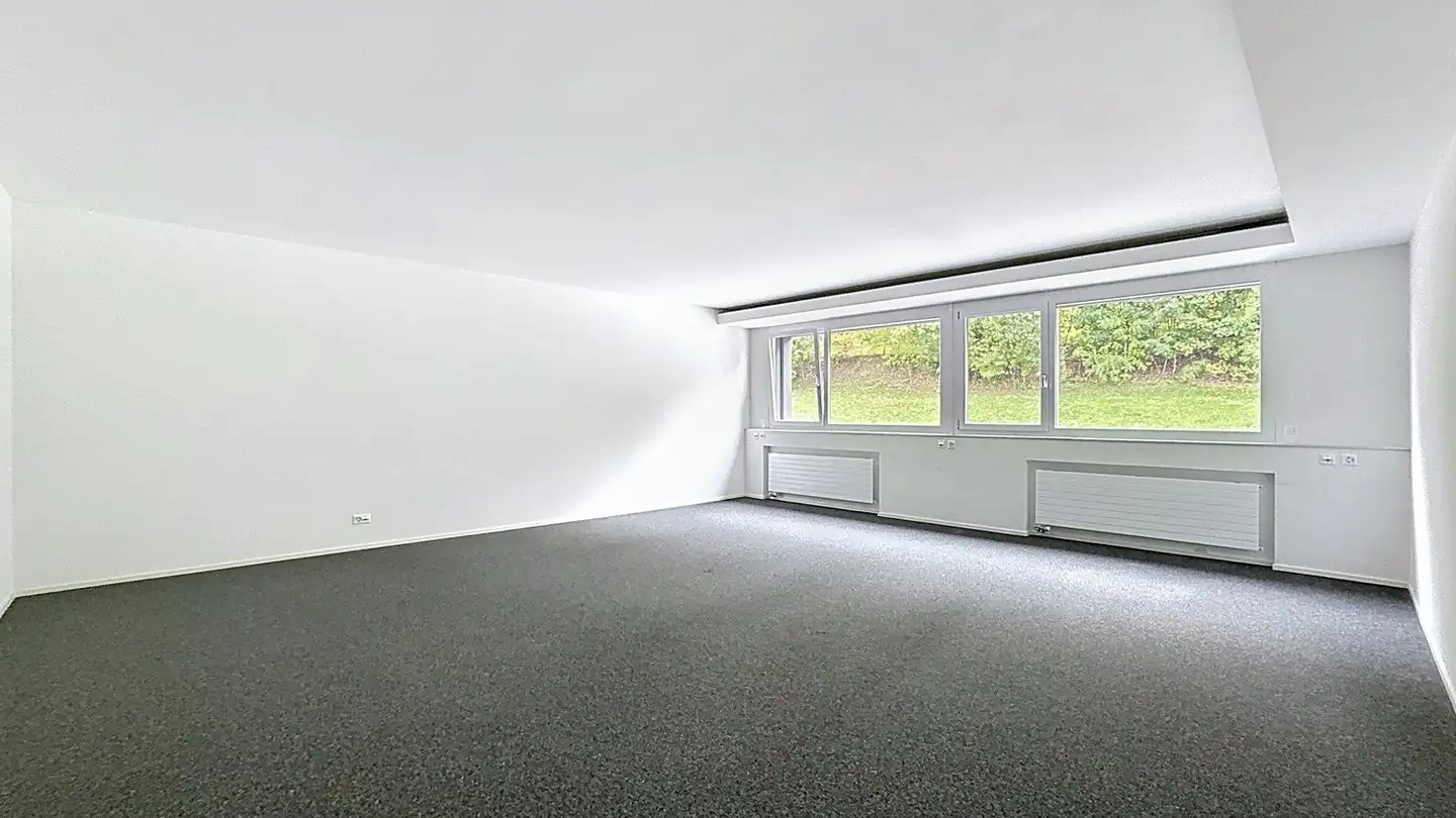 Commerciale in affitto - Zone Industrielle D'in-Riaux 30, 1728 Rossens FR - Foto 3