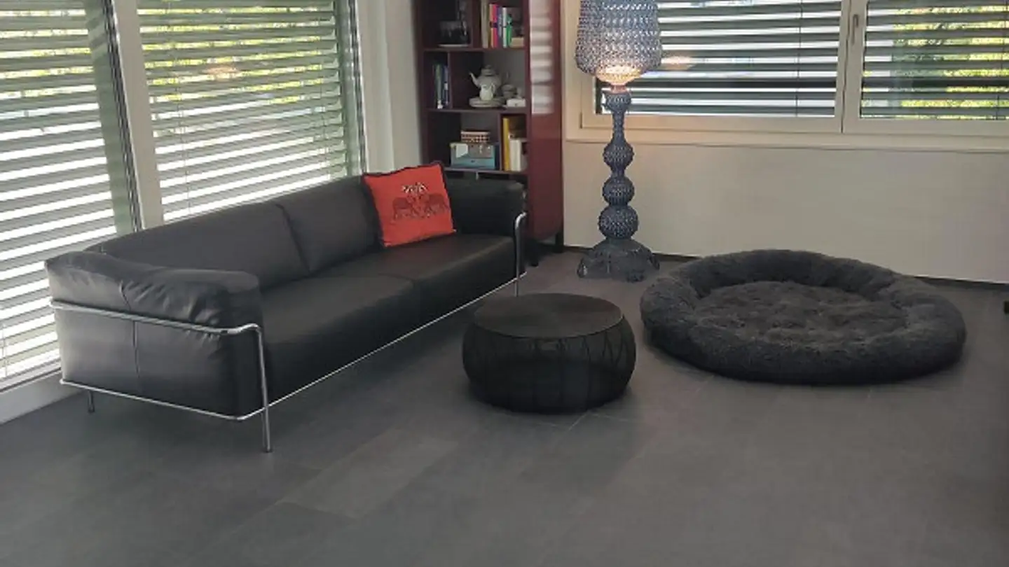 Penthouse for rent - Rombachstrasse 37, 5000 Aarau - Photo 2