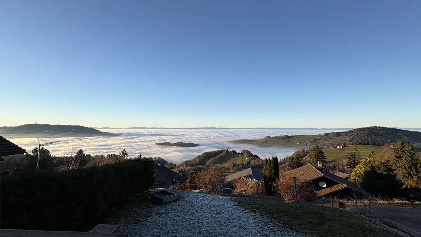 Appartement à louer - La Holena 54, 1634 La Roche FR