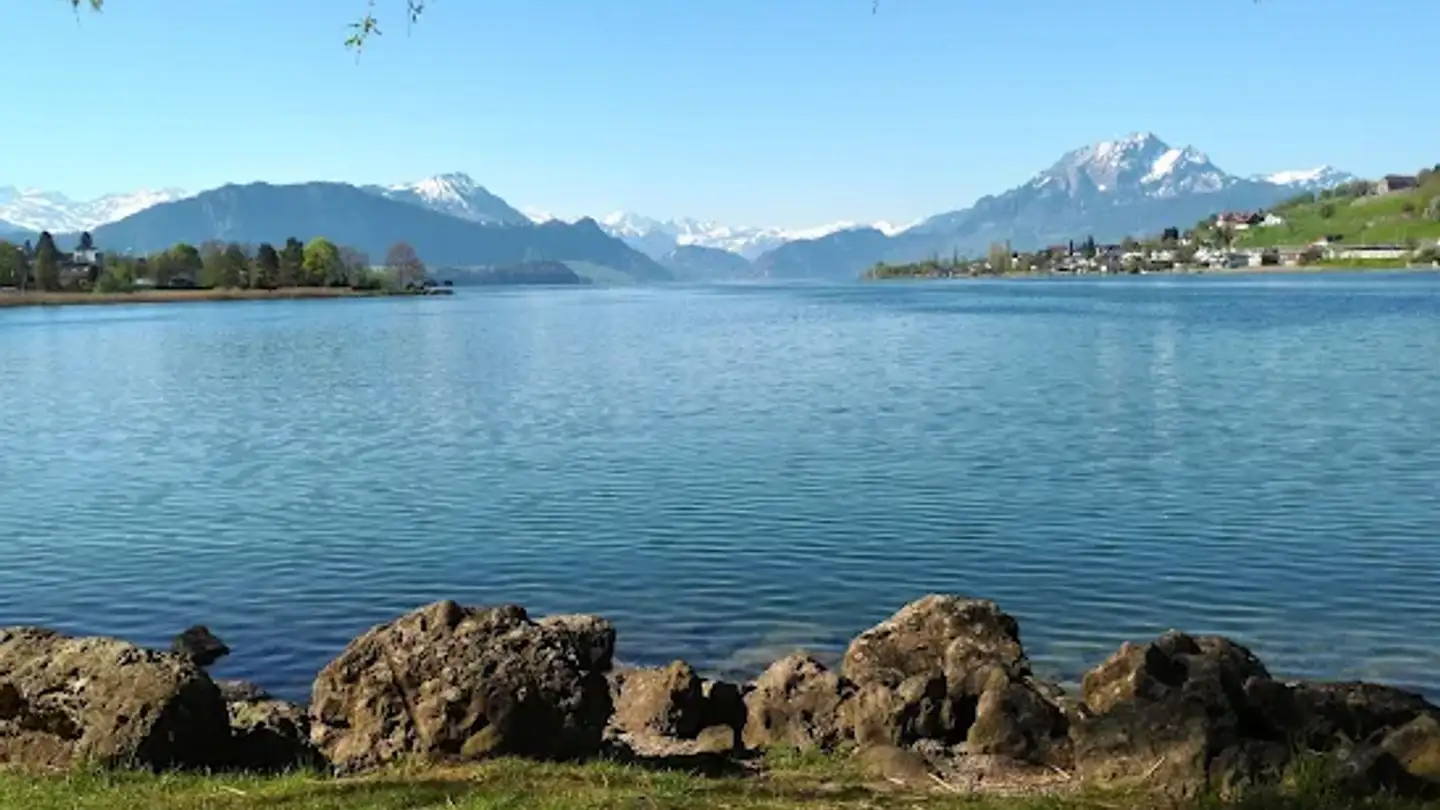 Casa singola in affitto - Bürgenstockstrasse 24, 6403 Küssnacht am Rigi - Photo 3